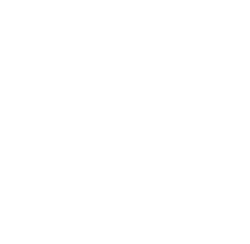 Logo de github